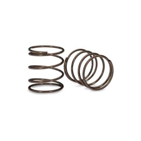 Stötdämparfjäder Mini GTR (1.19 rate) (2)