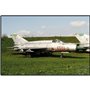 MIG-21 MF, 381 PCS ARMED FORCES 