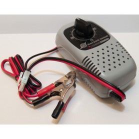 Timerladdare 12V