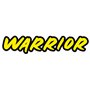 Wave Warrior V4 2.4GHz RTR